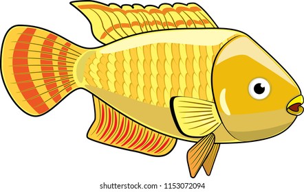 Yellow aquarium fish