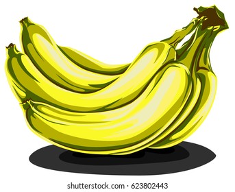 Yellow aromatic banana