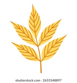 Rama de hoja de ceniza amarilla aislada sobre fondo blanco. Hoja de otoño simple para el patrón, Anuncio, etiqueta engomada. Hola tarjeta de otoño. Ilustración vectorial plana.