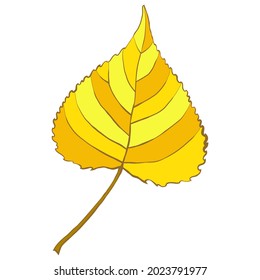 Hoja de álamo amarillo aislada en fondo blanco. Dibujo simple de un vector de estilo plano de caricatura.