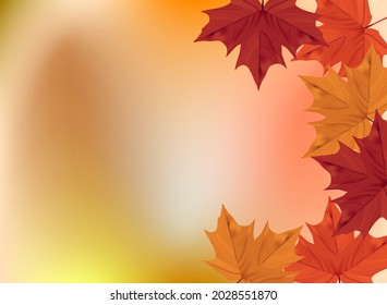 Yellow autumn background with maple leaves. Isolated objects. A vector image.