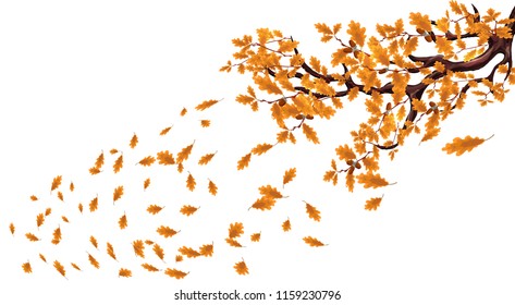 Yellow autumn branch of a large oak tree with acorns. Fly over the leaves and whirl in the wind. Vector illustration