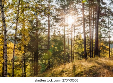 Yellow autumn forest at sunset, vector