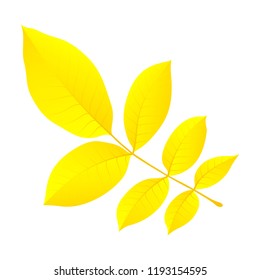 Yellow autumn leaf icon. Flat illustration of yellow autumn leaf vector icon for web design