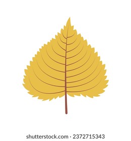 Yellow autumn leaf on white background