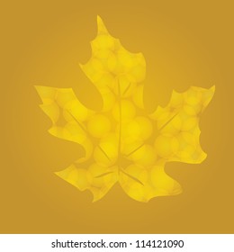 Yellow autumn leaf sycamore with lots of veins on a white background. EPS10 vector.
