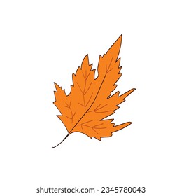 Yellow autumn leaf. Vector cartoon design on a white background.