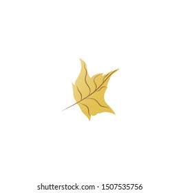 Yellow Autumn leaf . Vector graphics