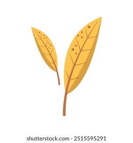 Gelbe Herbstblätter. Flache Vektorgrafik einzeln auf weißem Hintergrund  
