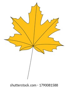 Yellow autumn maple leaf. Isolated on a white background. Vector illustration.