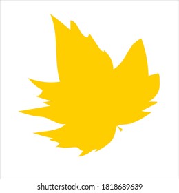 Yellow autumn maple leaf on white background