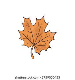 Yellow Autumn maple leaf