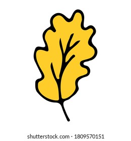 Yellow autumn oak tree leaf icon in vector. Autumn oak leaf illustration in vector