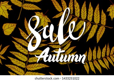 yellow Autumn Sale Background, Hand Drawn Autumn calligraphy with falling leaves, Web Banner, shopping sale or seasonal poster, Postcard and Invitation card. Vector illustration, eps 10 art