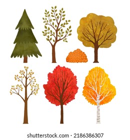 Yellow autumn trees. Colorful garden tree, autumnal garden bush and fall season tree leaves.