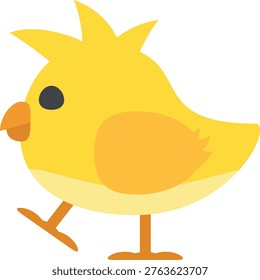 Yellow baby chick vector illustration. Small bird walking with orange beak. Flat design style on a white background.