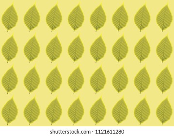 Yellow background of dry leaves.