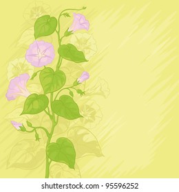 Yellow background with Ipomoea flowers and leaves. Vector