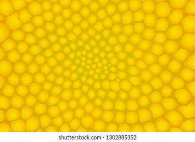 Fondo amarillo con flor natural dentro de patrón, fondo vectorial abstracto.