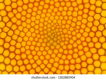 Fondo amarillo con flor natural dentro de patrón, fondo vectorial abstracto.