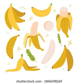 Yellow banana colorful set. Exotic, tropical fruit isolated on white background. Peeled and sliced and whole banana. Fresh vegetarian healthy food with vitamins. Flat vector hand drawn illustration