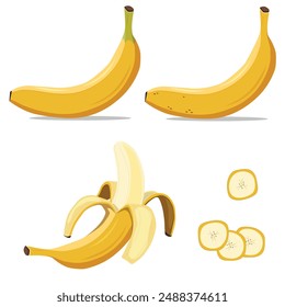 Plátano amarillo en diferentes etapas conjunto de Ilustración vectorial, verde, maduro, en rodajas y pelado sobre fondo blanco