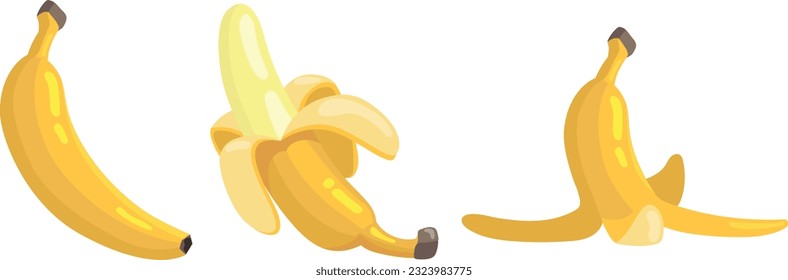 diseño vectorial de frutos de banana amarilla