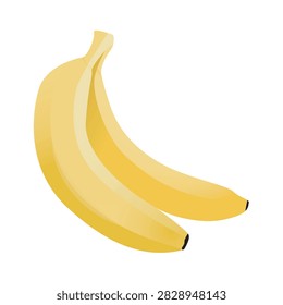 Yellow Banana Fruit Vector Illustration, Fresh Bunch and Single Banana Concept