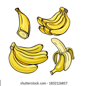 Yellow banana, ink sketch. Tropical fruit with skin. Hand drawn black plant line stroke clipart, farm product packaging. Whole and sliced botanic objects