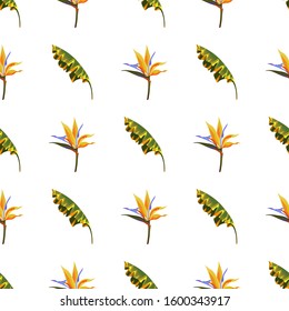 Yellow Banana Leaf. Yellow bird of paradise Strelitzia. Vector illustration. Seamless background pattern. Floral botanical flower. Wild leaf wildflower isolated. Exotic tropical hawaiian jungle.