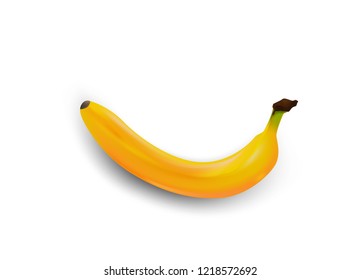 Yellow banana vector illustration