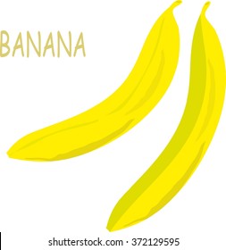 Yellow bananas on white background, hand drawing, painting. Healthy eating, fruit, organic, packaging design, product packaging, product label, design elements, clip art, vector
