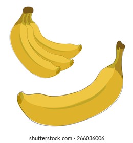 Yellow Bananas. One and thee in a bunch.