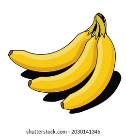 Yellow bananas. Vector 3d sketch line isometric, color icon illustration, flat style. Creative design idea and elements for infographics and website.