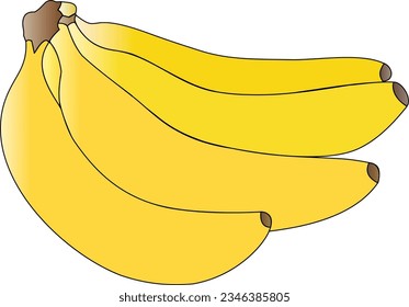 Gelbe Bananen-Vektorgrafik, kann für Symbole, Logos, Designs, Illustrationen oder andere Design-Anforderungen verwendet werden. 