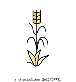 yellow barley plant color icon vector. yellow barley plant sign. isolated symbol illustration