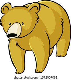 Yellow bear on white background illustration