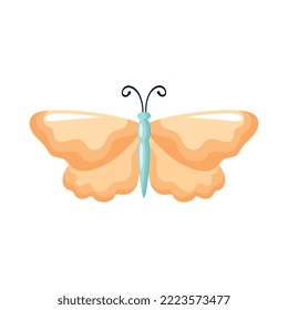 yellow beauty butterfly insect icon