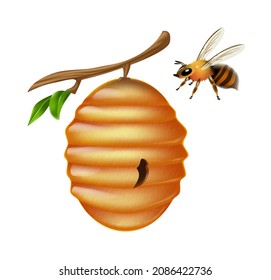 Yellow Bee Hive hanging on a branch with bee, on white background, realistic vector illustration