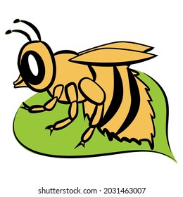 Yellow bee sitting on a leaf. Vector image for logo of honey. Honey pollinating insect on a white background.