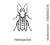 Yellow bee vector icon.Line vector icon isolated on white background yellow bee.