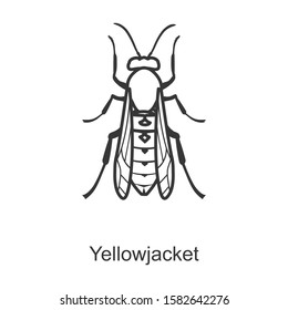 Yellow bee vector icon.Line vector icon isolated on white background yellow bee.