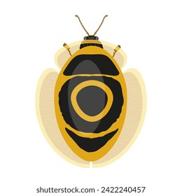 Yellow beetle with black spots on back, top view of crawly insect vector illustration