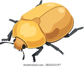 Yellow Beetle Insect Vector Illustration Isolated on White Background