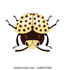 Yellow beetle top view isolated on a white background. Flat Art Vector Illustration