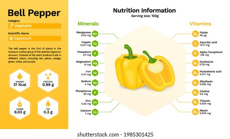 Yellow Bell Pepper vegetable  and its nutritional properties -Vector illustration