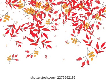 Yellow Berries Background White Vector. Foliage Outline Design. Burgundy Leaves Symbol. October Texture. Herb November.