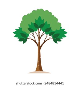 
Yellow Birch, Betula alleghaniensis tree Nature flat vector illustration on white background.