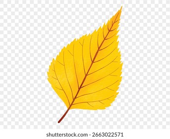 Hoja de abedul amarillo pintado a mano en acuarela para el Vector de diseño estacional.