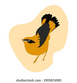 Yellow bird aestetic botani simple vector